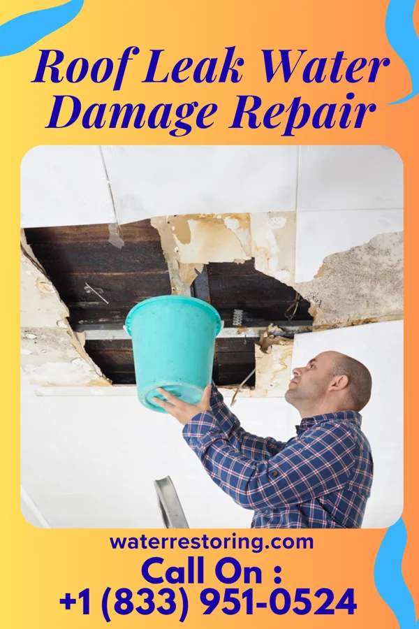 Roof Leak Water Damage Repair in Bayou Goula, LA